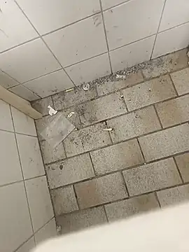 wadmma online show from November 19, 2025, 8:47 am