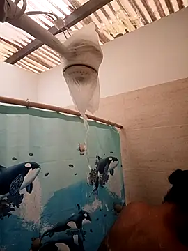 Zaira Rose  online show from February 24, 2026, 1:09 pm