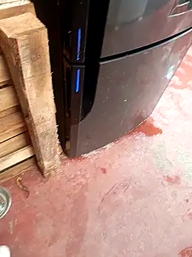 HotC1991 online show from January 12, 2026, 3:17 pm