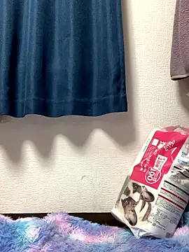 PINO pino 01 online show from November 24, 2025, 5:45 pm