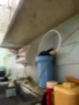 Carola-Ross online show from January 6, 2026, 4:32 pm