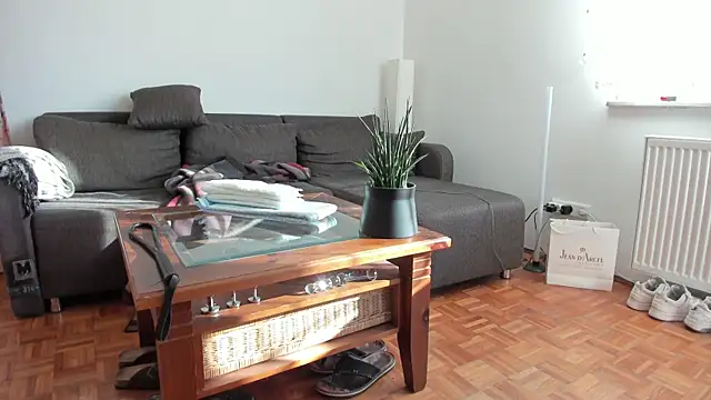 molicaremolicare online show from November 27, 2025, 11:12 am