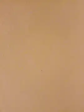 Snapshot of Bigdicklove42x chatting on January 15, 2026, 4:50 am Bigdicklove42x online show from January 15, 2026, 4:50 am