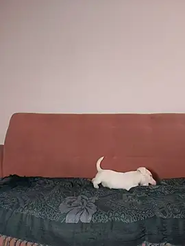 Jehan Soto online show from September 9, 2025, 5:12 pm