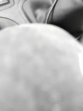 stfbi online show from February 24, 2025, 1:31 pm