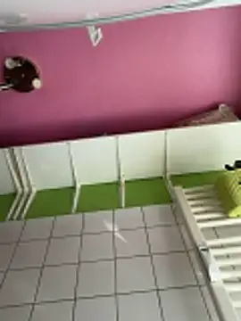 sexymelli18 online show from April 8, 2026, 12:38 pm