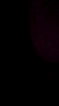 salchichon 69 online show from March 11, 2026, 8:31 am