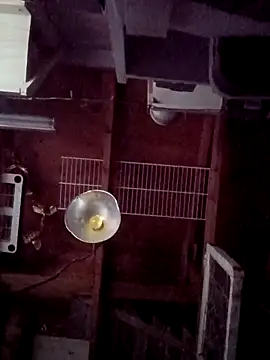 salchichon 69 online show from March 31, 2026, 2:28 pm