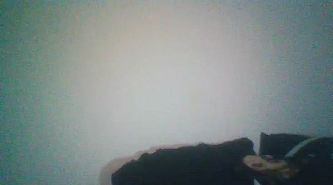 Snapshot of Otravidacol chatting on February 20, 2025, 1:46 am Otravidacol online show from February 20, 2025, 1:46 am