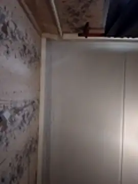 AliniX online show from March 7, 2026, 10:23 am