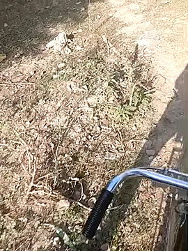 bairobunde online show from February 7, 2026, 4:16 am