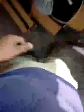 kris478 online show from November 17, 2025, 8:09 am