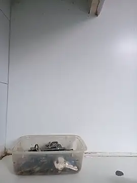 xxTatiannaxx online show from February 28, 2025, 12:09 pm