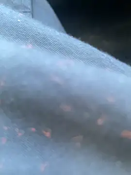 daniel21p online show from February 22, 2025, 3:25 pm