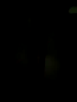 wildfun  online show from March 18, 2025, 5:42 pm