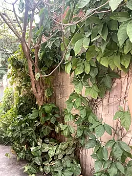 twinks 28 online show from January 14, 2026, 8:36 pm