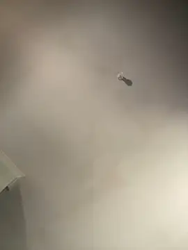 1Zoey101 online show from February 2, 2026, 1:37 am