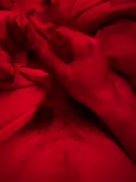 ruchacz24 online show from March 6, 2025, 2:51 am