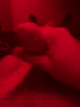 ruchacz24 online show from October 14, 2025, 1:50 am