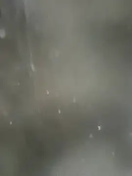 Snapshot of enoc369 chatting on March 10, 2025, 10:37 am enoc369 online show from March 10, 2025, 10:37 am