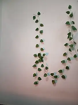 Neha-Bhabhi-Rasily online show from February 18, 2026, 11:17 am