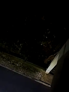 BUTTerflyTODAY online show from April 22, 2026, 1:52 am