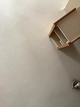 Flacovergon26 online show from January 14, 2026, 5:51 pm