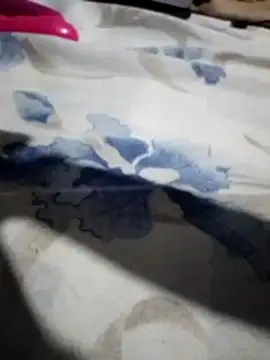 Sandra42 online show from November 14, 2025, 9:52 am