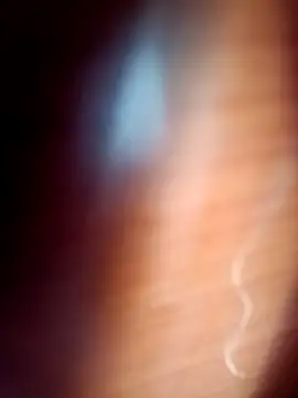 gordiricosv online show from February 14, 2026, 9:44 pm