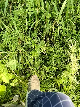 himvilohi08 online show from October 11, 2025, 10:03 am