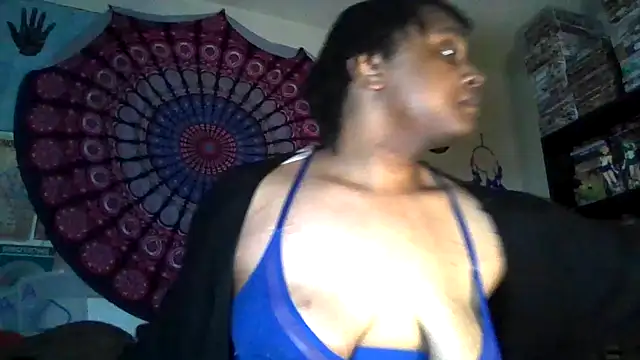 GardeniaFields online show from April 2, 2026, 11:30 am