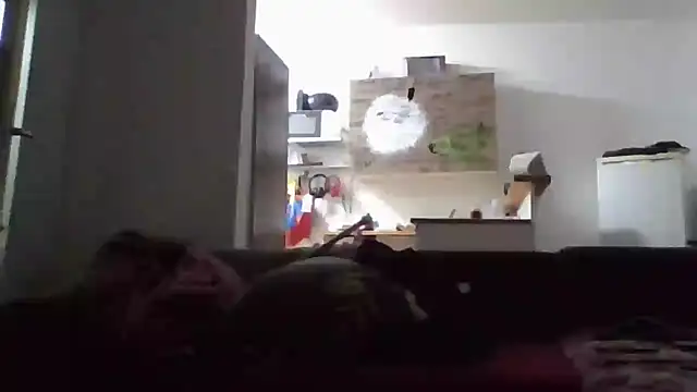 ThePython666 online show from November 17, 2025, 5:08 pm