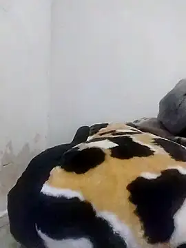 CertifiedSatisfier online show from October 29, 2025, 1:46 pm