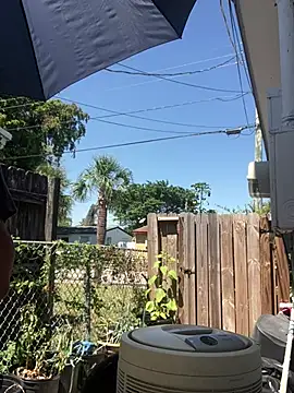 anthonyroth online show from March 21, 2025, 5:56 pm