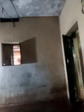 Snapshot of PolarFriend0 chatting on February 17, 2026, 12:56 pm PolarFriend0 online show from February 17, 2026, 12:56 pm