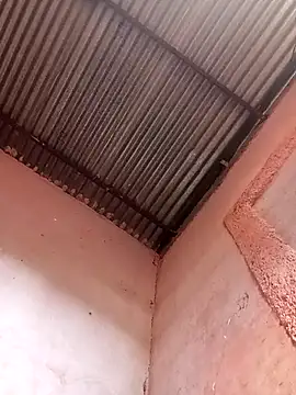 317894 online show from November 21, 2025, 1:54 pm