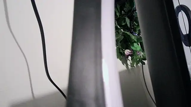 cherryboom23 online show from March 19, 2026, 7:18 pm