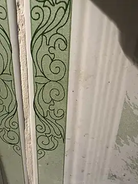 Snapshot of dilu98 chatting on March 18, 2025, 1:42 pm dilu98 online show from March 18, 2025, 1:42 pm