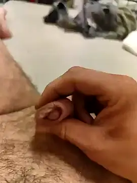 Snapshot of savitar2397 chatting on March 20, 2025, 3:45 am savitar2397 online show from March 20, 2025, 3:45 am