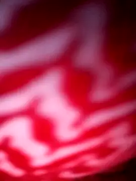 Hema0Hema online show from February 28, 2026, 10:55 pm