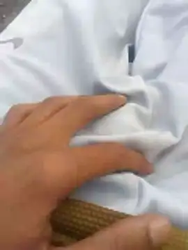 tiibcstuj online show from February 14, 2026, 12:13 pm