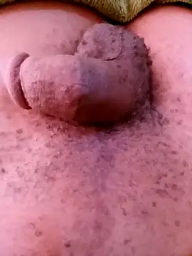 horny1131 online show from April 11, 2026, 7:45 am