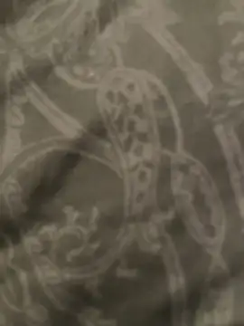 HabibiS86 online show from October 17, 2025, 5:59 pm