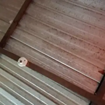 Ortiz3404 online show from April 5, 2026, 2:58 pm