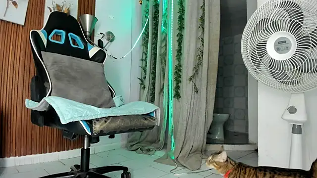 Darwin mayo online show from December 22, 2025, 5:32 pm