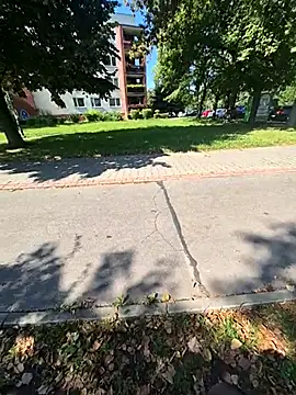 SexNiewolnik69 online show from September 12, 2025, 10:15 am