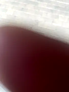 kamo012000 online show from October 9, 2025, 2:37 pm