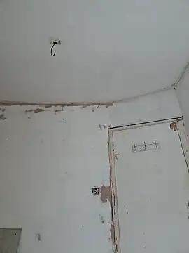 kisspussy1993 online show from February 21, 2026, 3:35 pm