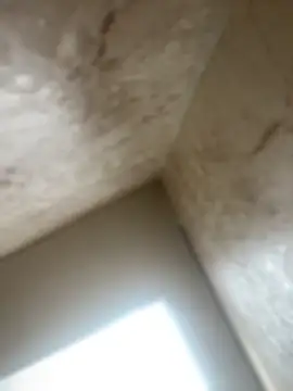 Snapshot of Noa_Todokoro chatting on October 16, 2025, 3:02 pm Noa Todokoro online show from October 16, 2025, 3:02 pm