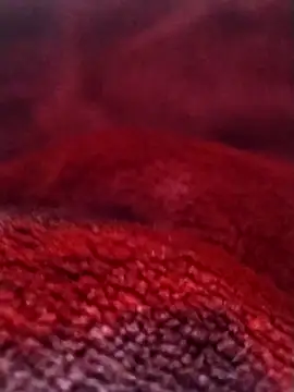 saneer69tew online show from February 26, 2026, 6:12 am